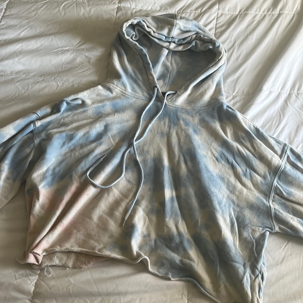 Wild fable cropped hoodie
